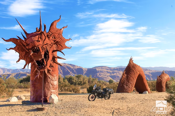 Desert Pulse Park photo 1